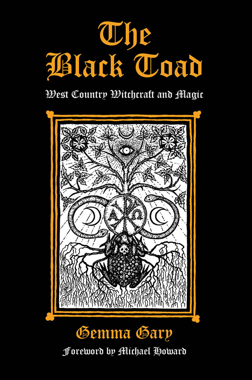 The Black Toad - Paperback - cover