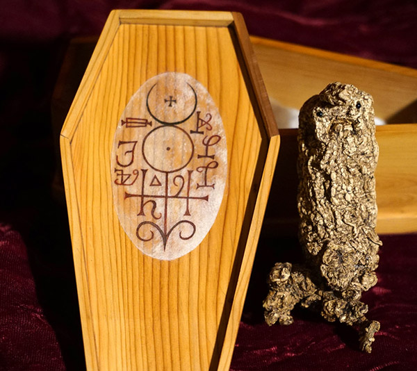 Mandrake in Yew coffin 12
