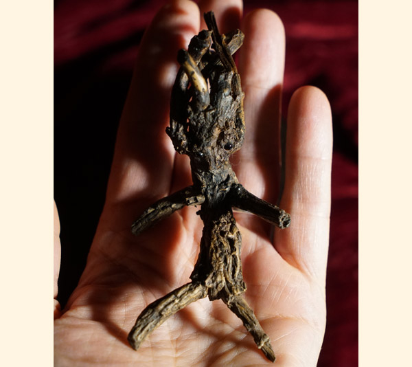 Mandrake figure in Oak Coffin box 7