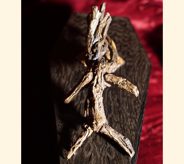 Mandrake figure in Oak Coffin box 12
